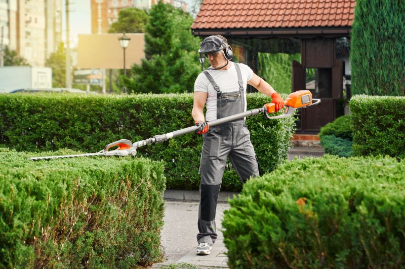 Shrub Trimming Service