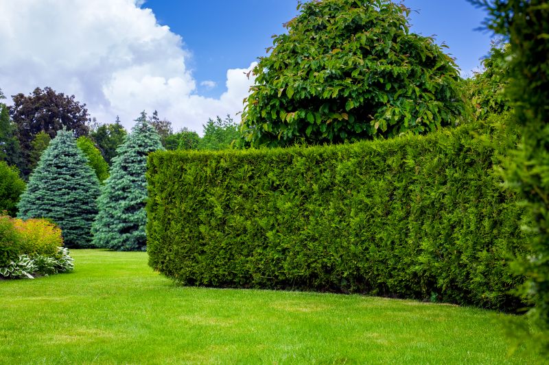 Enhance Landscape Aesthetics With Professional Hedge Trimming Service!