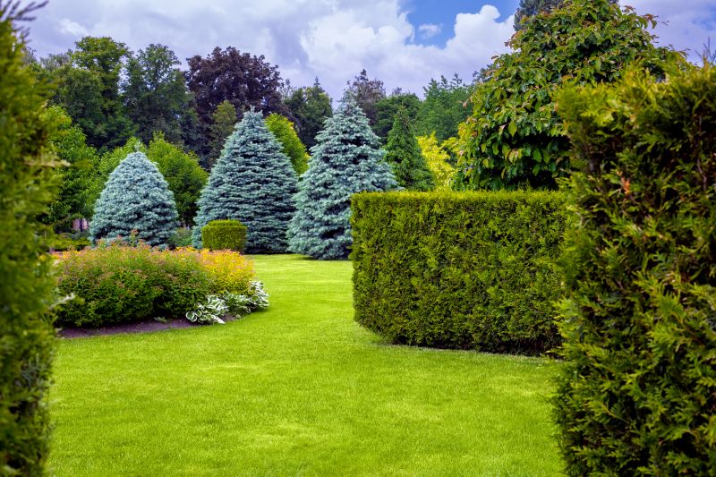 Get Professional Hedge Trimming To Ensure Safety and Security!