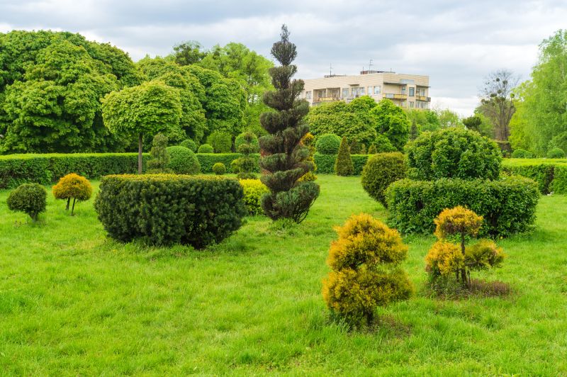 Promote New Growth With Professional Hedge Trimming Service!